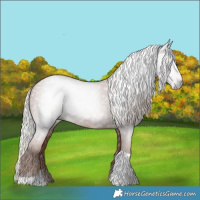Horse Color:Gray Silver Black Pearl Tobiano 