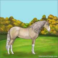 Horse Color:Chocolate Palomino Pearl Splash 