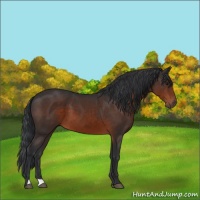 Horse Color:Brown 