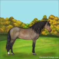 Horse Color:Brown Dun Sabino 