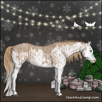 Horse Color:Red Dun Splash  and Red Dun Roan Splash 