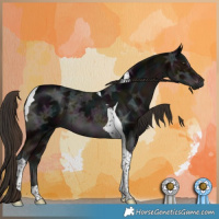 Horse Color:Midnight Liver Chestnut Ice Tobiano