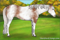 Horse Color:White Spotted Silver Bay Splash 