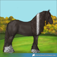 Horse Color:Liver Chestnut Tobiano 