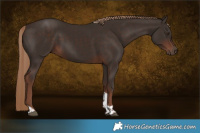 Horse Color:Liver Chestnut Tobiano 