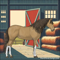 Horse Color:Buckskin 