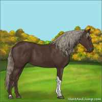 Horse Color:Liver Chestnut Tobiano 