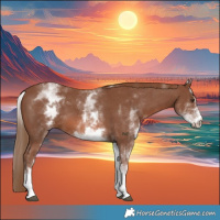 Horse Color:White Spotted Chestnut Sabino 