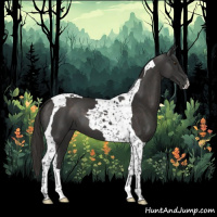 Horse Color:Liver Chestnut Tobiano 