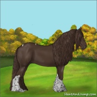 Horse Color:Liver Chestnut Tobiano 