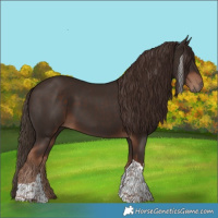 Horse Color:Liver Chestnut Tobiano 