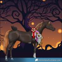 Horse Color:Liver Chestnut Tobiano 