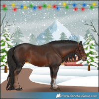 Horse Color:Liver Chestnut Tobiano 