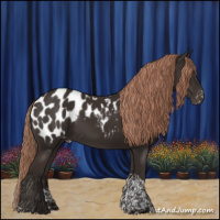 Horse Color:Liver Chestnut Tobiano Appaloosa