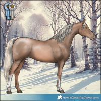 Horse Color:Liver Chestnut Pearl Mushroom Tobiano 
