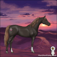 Horse Color:Liver Chestnut Tobiano 