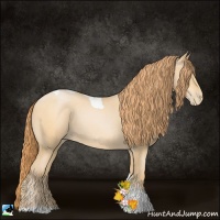 Horse Color:Buckskin Pearl Tobiano Rabicano 