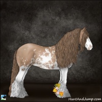 Horse Color:Black Pearl Sabino 