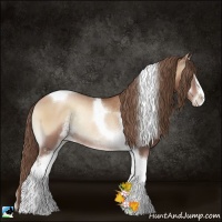 Horse Color:Blue Onyx Pearl Sabino Tobiano Rabicano 