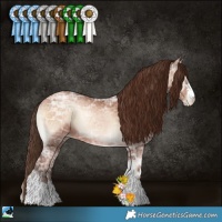 Horse Color:Brown Ice Pearl Onyx