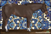 Horse Color:Liver Chestnut Tobiano 