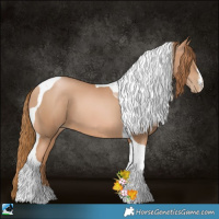Horse Color:Chestnut Pearl Sabino Tobiano
