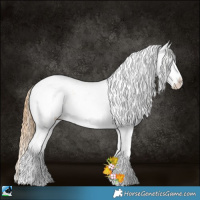 Horse Color:Chestnut Pearl Sabino