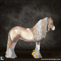 Horse Color:White Spotted Liver Red Onyx Pearl Tobiano Rabicano 