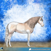 Horse Color:Gold Champagne Pearl Onyx Splash Tobiano