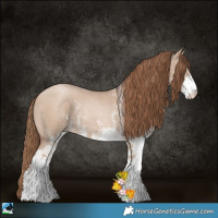 Horse Color:White Spotted Grullo Pearl 