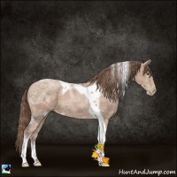 Horse Color:Black Ice Pearl Tobiano 