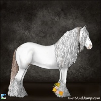 Horse Color:Bay Pearl Onyx Sabino Splash Rabicano 