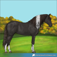 Horse Color:Liver Chestnut Tobiano 