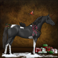 Horse Color:Liver Chestnut Tobiano 