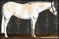 Horse Color:White Spotted Chocolate Silver Buckskin Pearl Blanket 