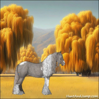 Horse Color:Silver Blue Roan Tobiano Frame