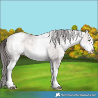 Horse Color:Platinum White Spotted Amber Cream Champagne 