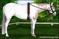 Horse Color:Bay Dun Sabino Splash Frame Near Fewspot 