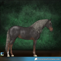Horse Color:Liver Chestnut Mushroom Sabino 