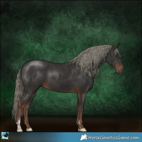 Horse Color:Liver Chestnut Mushroom Sabino 