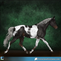 Horse Color:Liver Chestnut Ice Mushroom Tobiano 