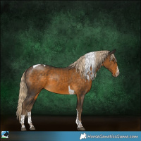 Horse Color:Chocolate Palomino Mushroom Sabino Tobiano Rabicano