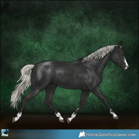 Horse Color:Liver Chestnut Mushroom 