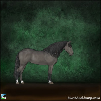 Horse Color:Black Sabino Rabicano 