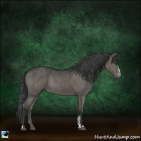Horse Color:Black Sabino Rabicano