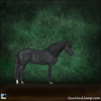 Horse Color:Black Sabino 