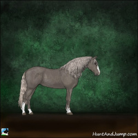 Horse Color:Silver Black Sabino 