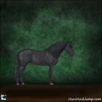 Horse Color:Black Sabino Rabicano 