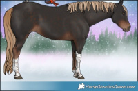 Horse Color:Liver Chestnut Tobiano