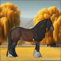 Horse Color:Brown Tobiano 